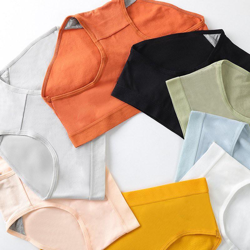 Quần lót nữ cotton mềm mại thoáng mát mùa hè QC/163