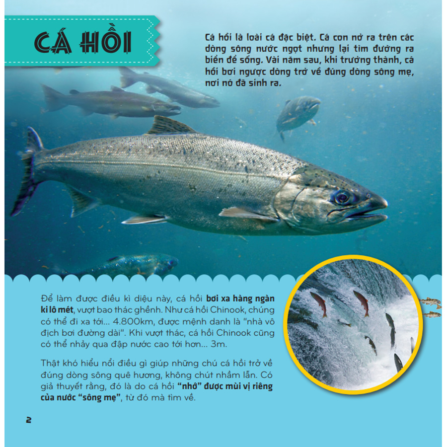 Bí Ẩn Thế Giới Loài Vật