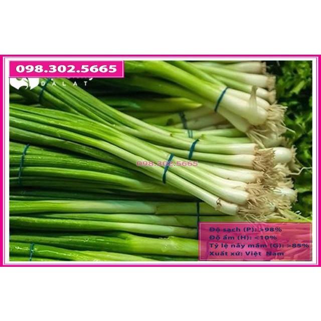 Hạt giống hành hương cao sản gói 5gr