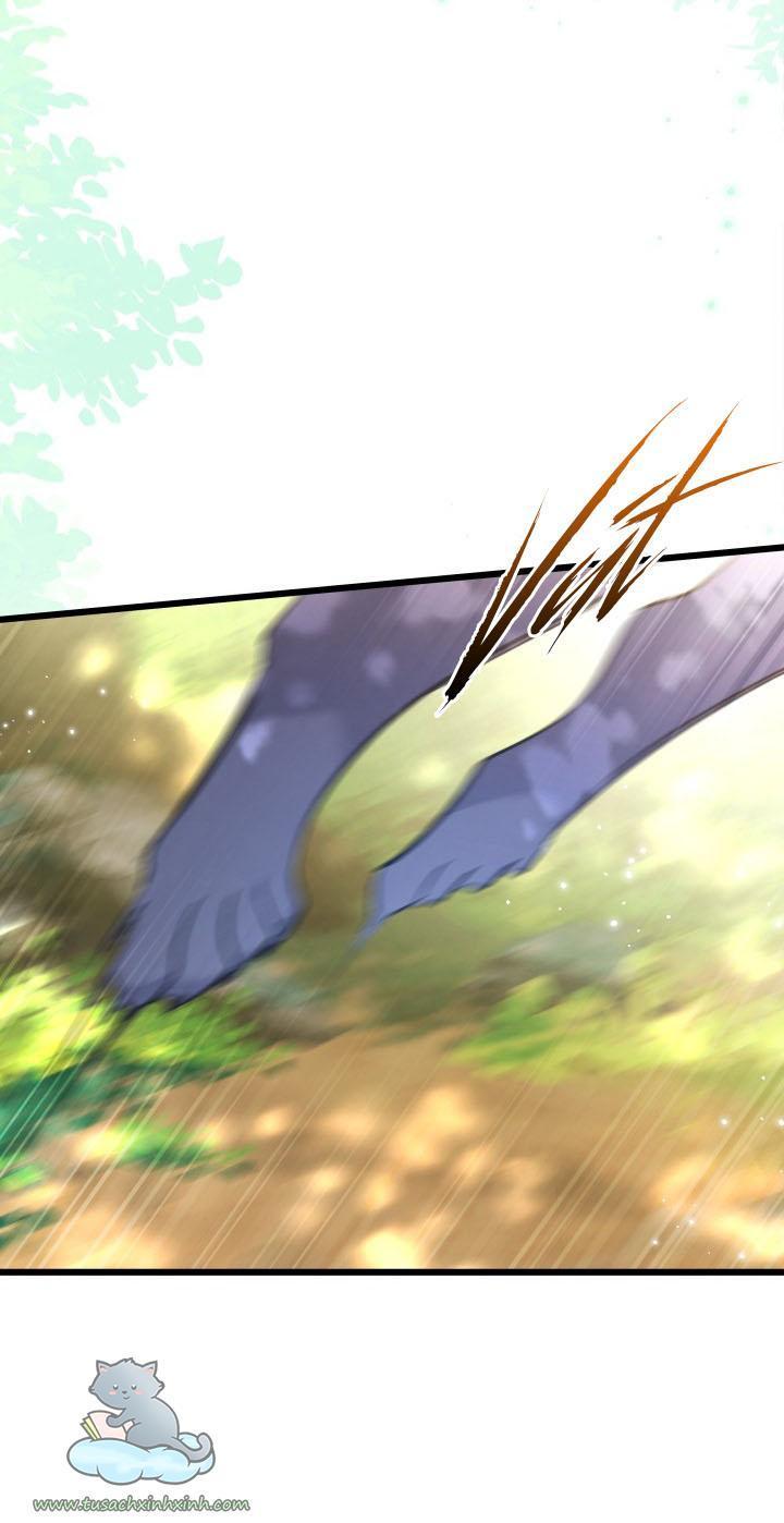 quan hệ cộng sinh giữa báo đen và thỏ trắng chapter 61 27