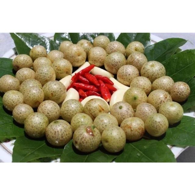 Cây giống mắc mật