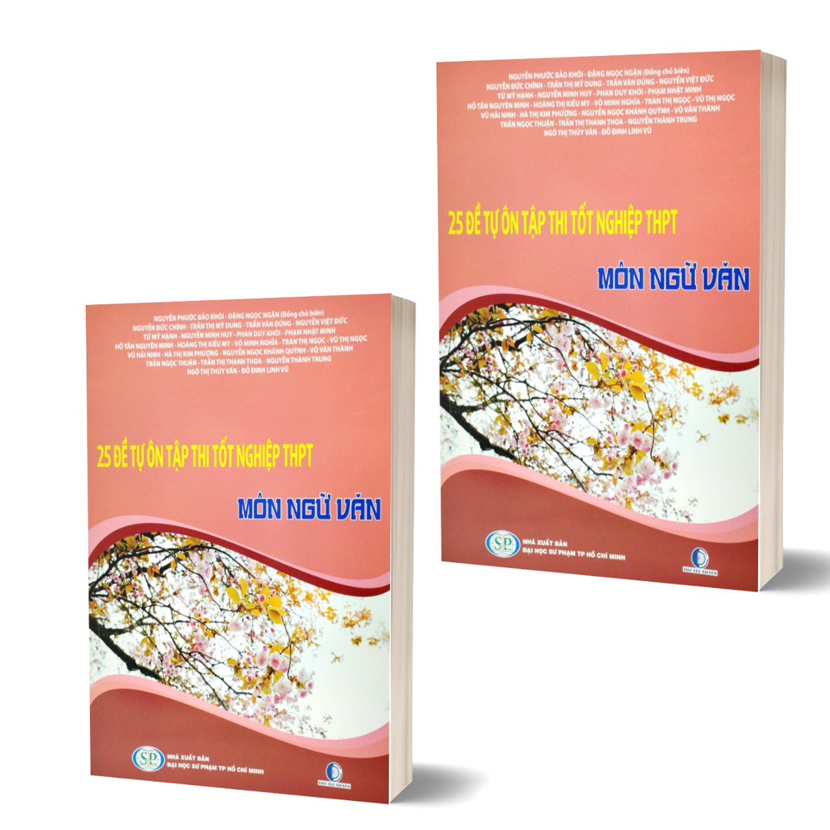 25 Đề Tự Ôn Tập Thi Tốt Nghiệp THPT - Môn Ngữ Văn