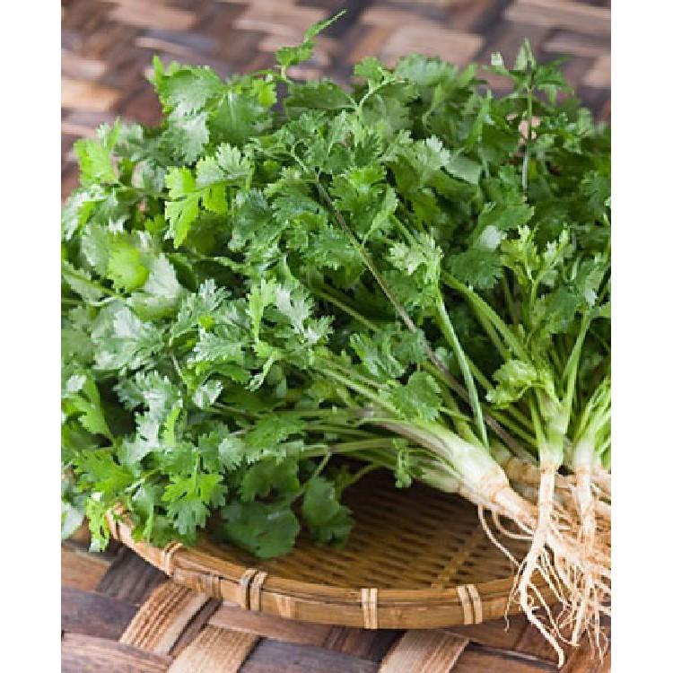 Hạt giống rau thơm - 20gr/gói