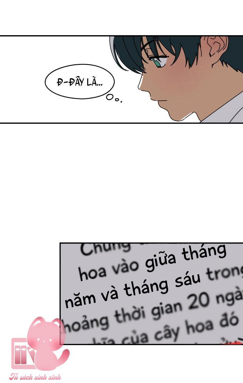 xin chào, mùa hạ chapter 3 50