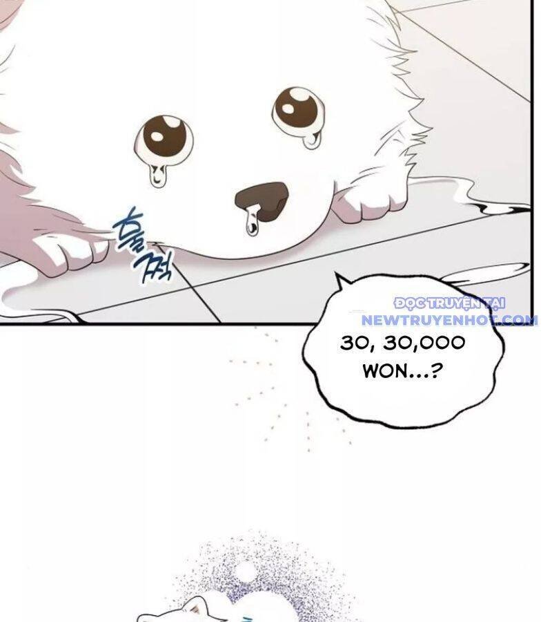 cửa hàng diệu kỳ chapter 49 20