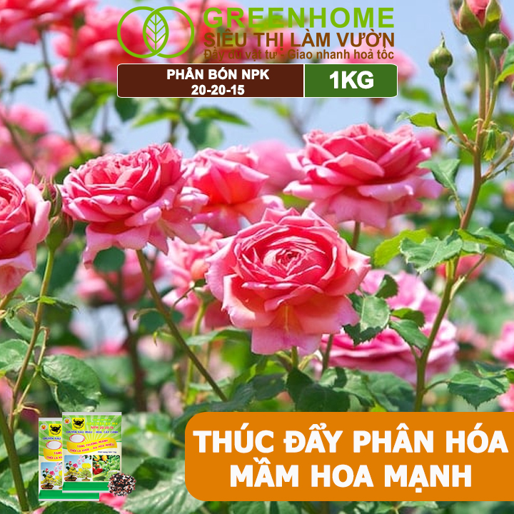 Phân Bón NPK 20-20-15, Greenhome, Đầu Trâu, 1Kg, Chuyên Hoa, Cây Cảnh Giúp Ra Hoa, Hoa Đẹp, Lâu Tàn