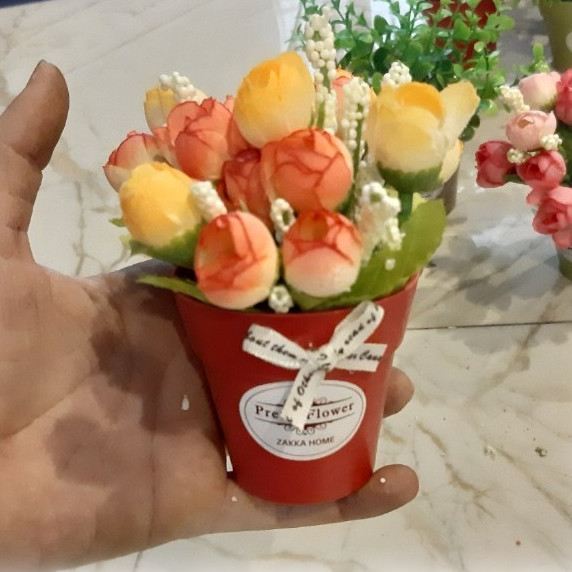 Chậu hoa nhí nhiều mẫu xinh màu ngẫu nhiên