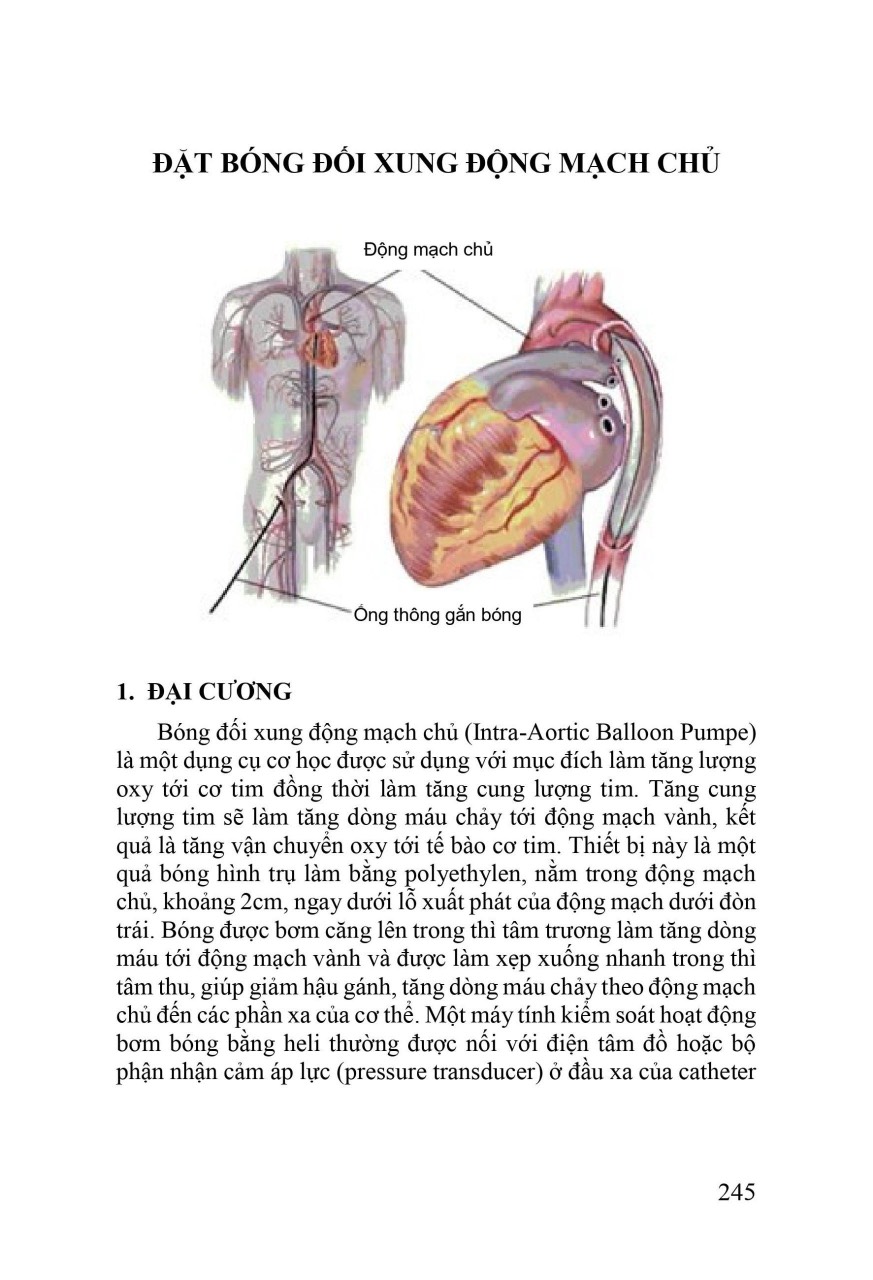 Sách - Thực hành cấp cứu tim mạch (Y)