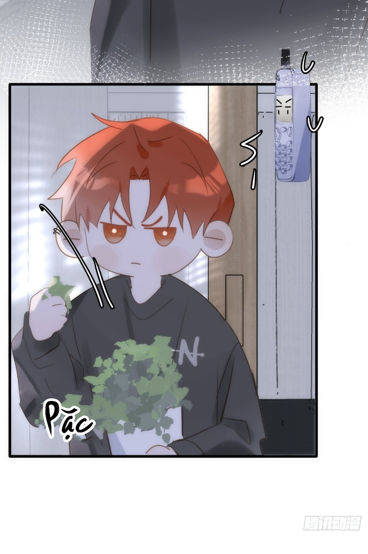 đêm đầy sao nói với em chapter 46 42