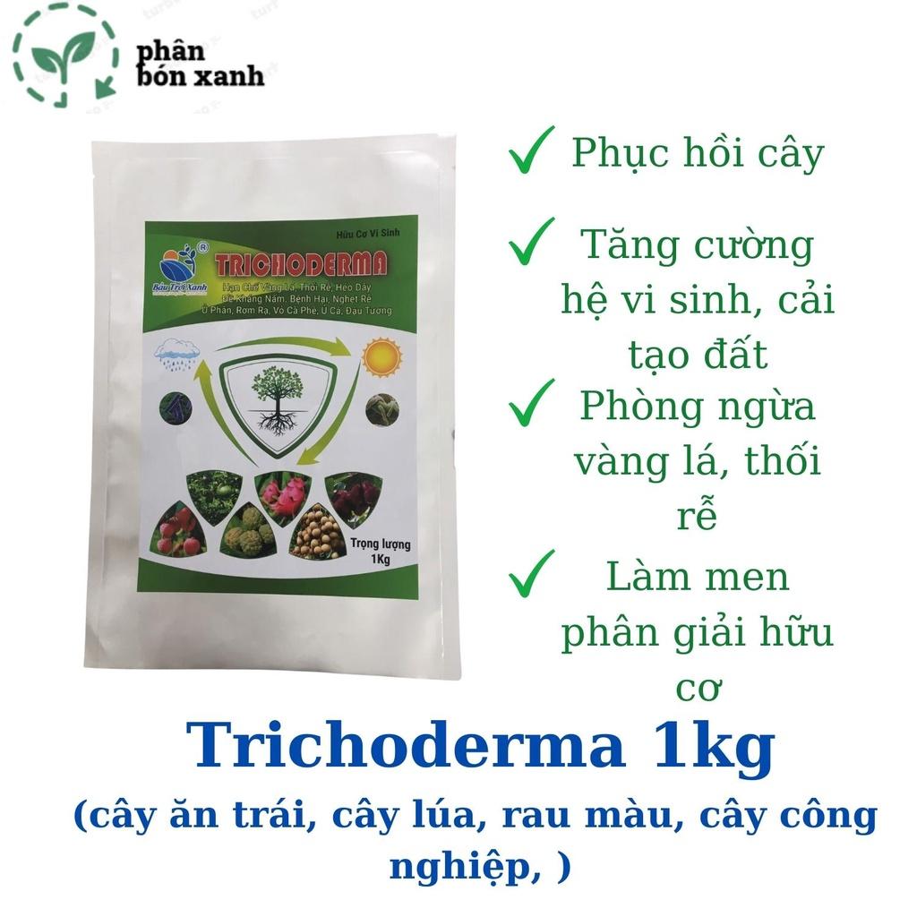 TRICHODERMA, nấm đối kháng, hạn chế vàng lá, nấm bệnh, dùng ủ phân, cải tạo đất, phục hồi cây