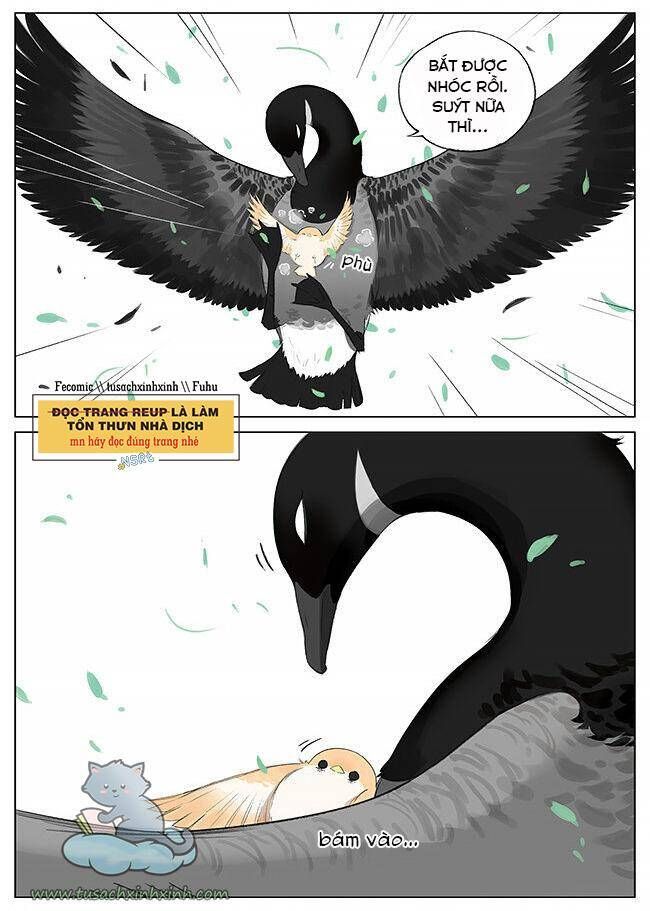 chim sẻ gọi ngỗng trời chapter 7 8