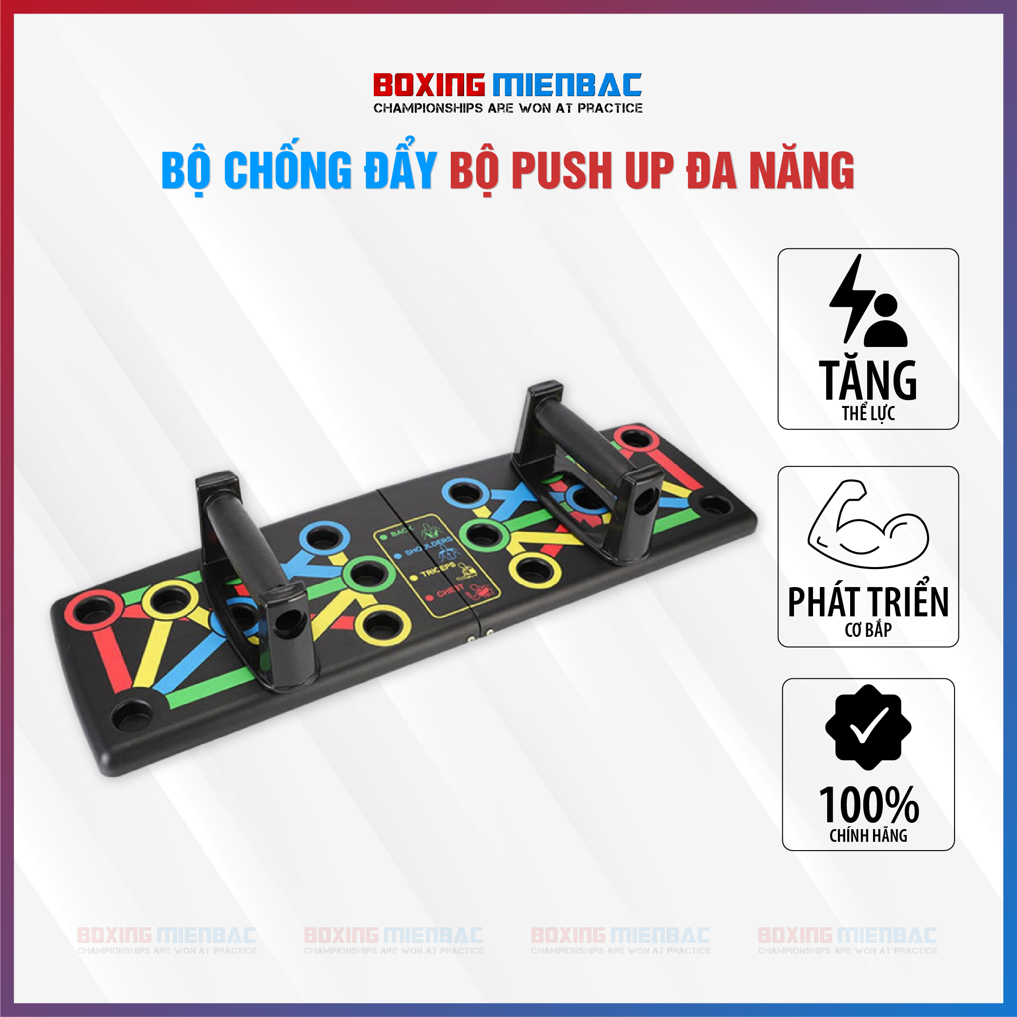 Bộ Dụng Cụ Tập Luyện/ Hít Đất/ Chống Đẩy/ Push Up/ Tập Gym/ Thể Dục/ Có Vạch Hướng Dẫn