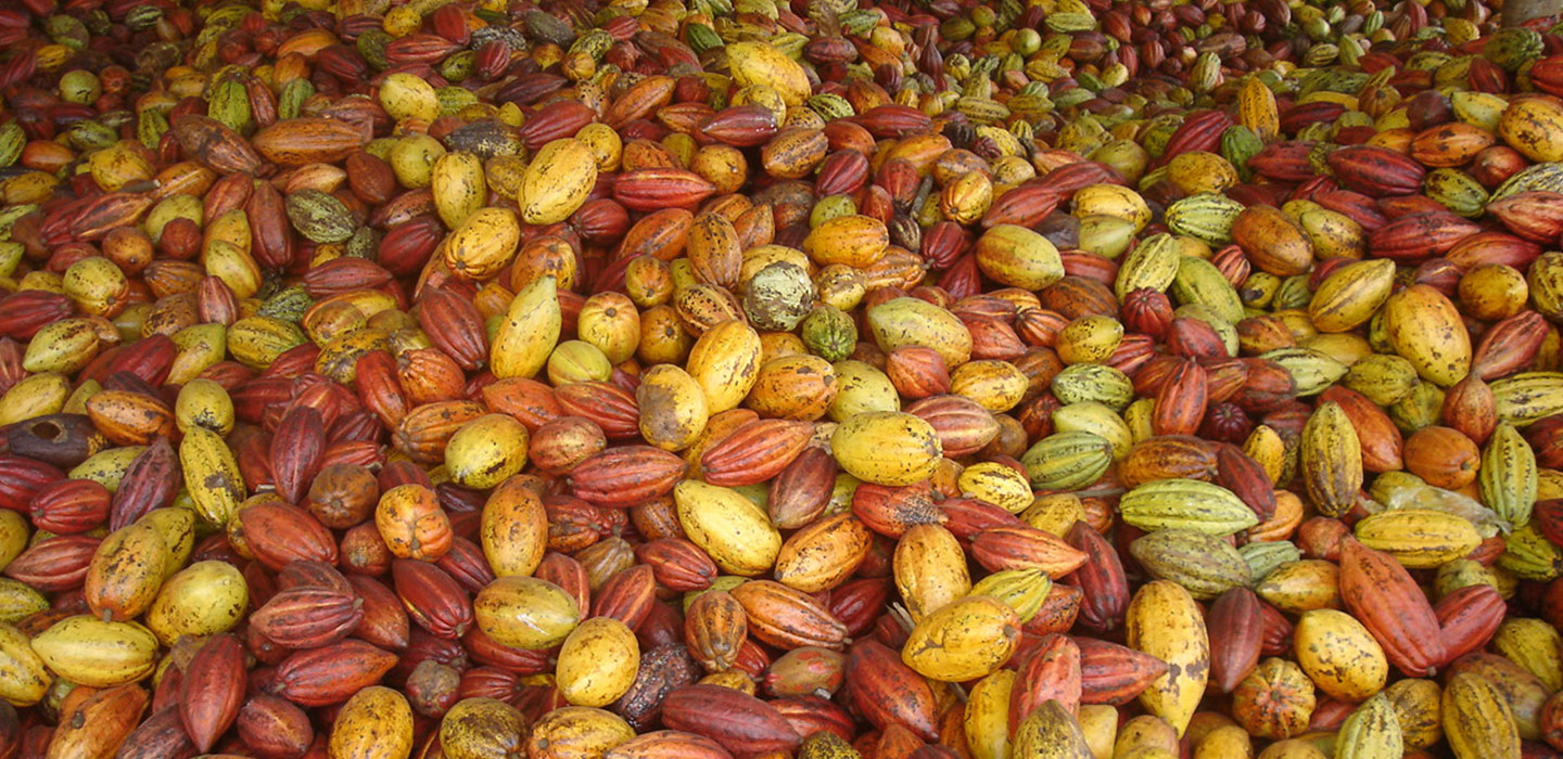 Bột cacao Lacacao Premium 250g