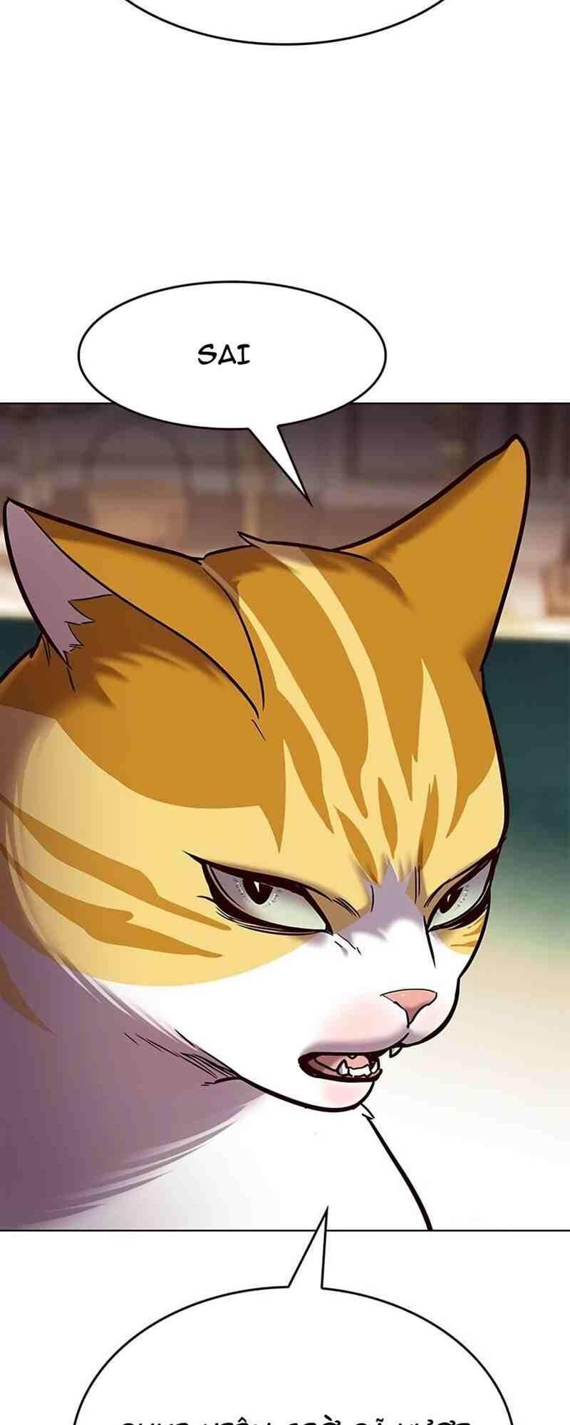 biến thân thành mèo chapter 250 37