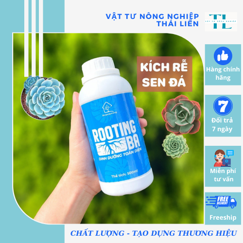 [Siêu kích rễ] Dung Dịch Kích Rễ ROOTING BA Dùng Cho Sen Đá, Kiểng Lá, Hoa Lan Và Cây Cảnh - Chai 500ml