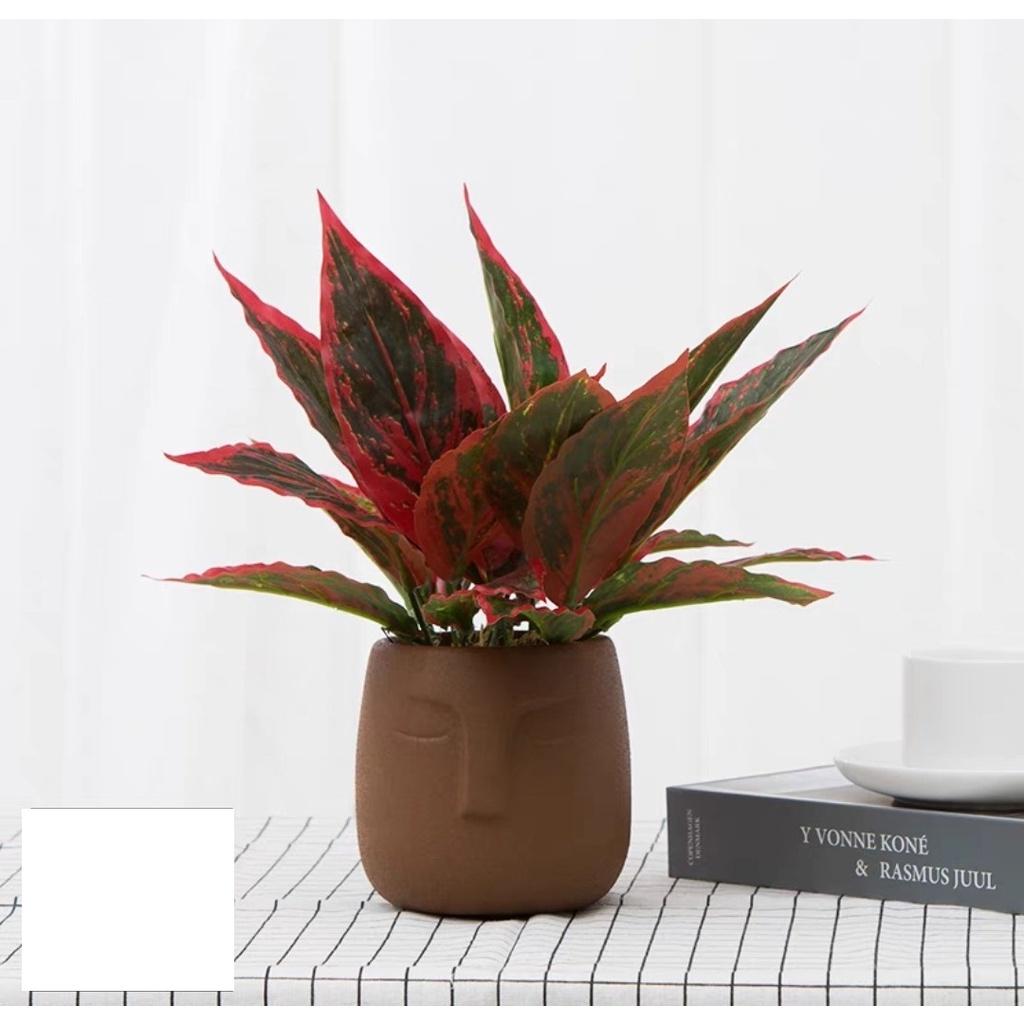 Chậu cây giả để bàn học, bàn làm việc, kệ tủ decor trang trí nhà cửa, văn phòng công ty, nhà hàng xanh mát CG-01