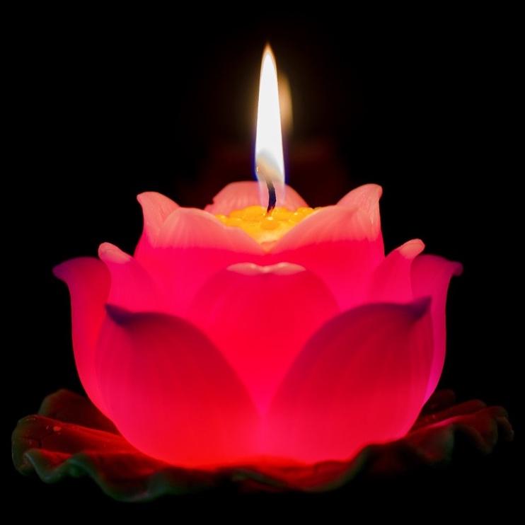 Nến hoa sen lớn - nến hoa thờ phật - nến bông sen trang trí cao cấp candle shop