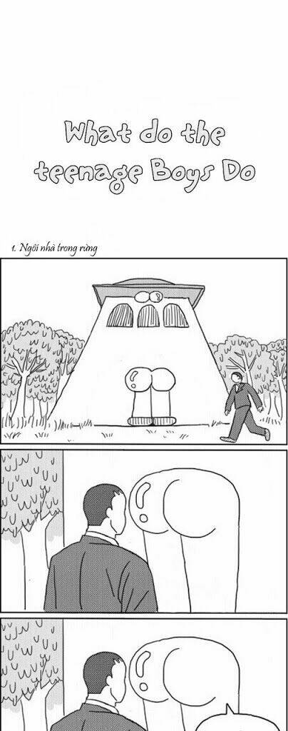 what do the teenage boys do chapter 1 1