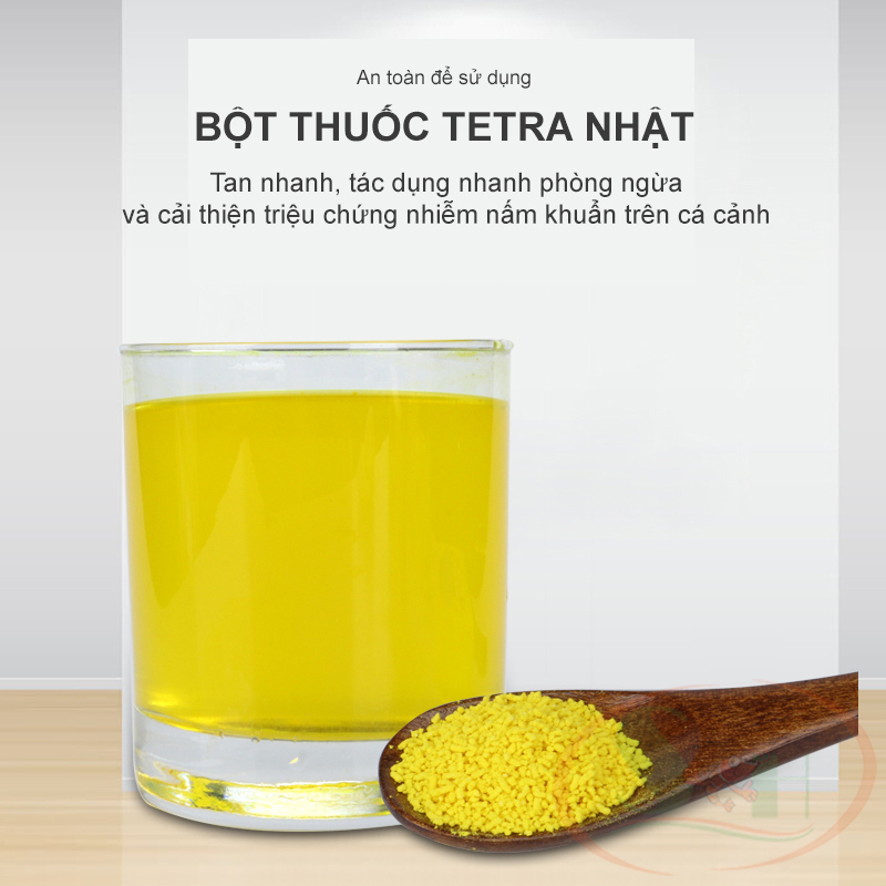 Tetra Nhật loại A xử lý nấm khuẩn phòng bệnh dưỡng cá tép cảnh