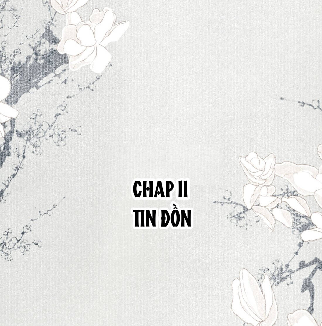 không cẩn thận cứu phải kẻ thù của giang hồ chapter 11 1