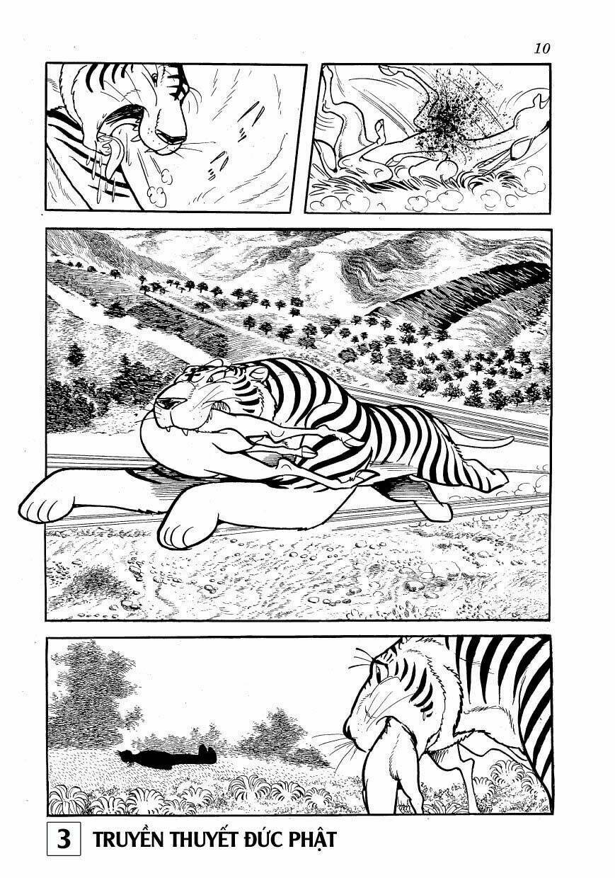 buddha - truyền thuyết đức phật chapter 13 11