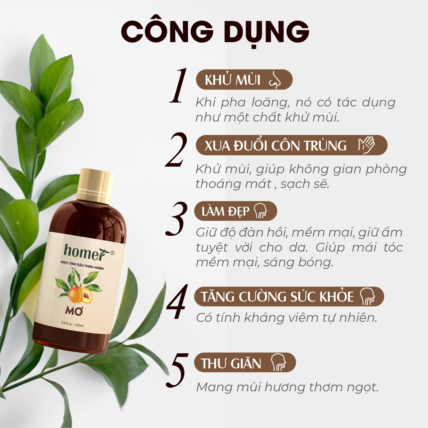 Tinh Dầu Thơm Phòng Trái Cây Thiên Nhiên Nhiệt Đới - Khử Mùi, Xông Thơm Phòng - Tinh Dầu Đào/ Chuối/ Táo Xanh/ Mơ/ Me/ Xoài/ Dưa Lưới/ Dưa Hấu (100ml)