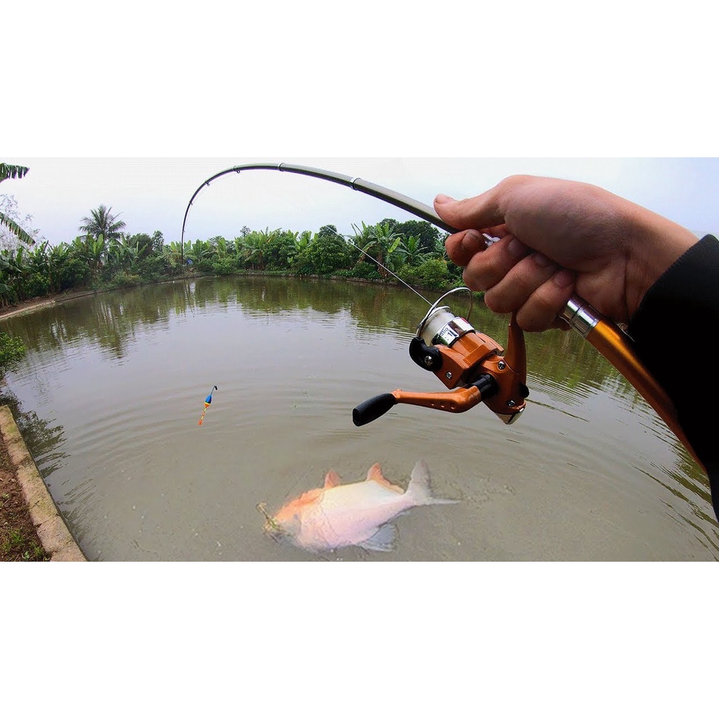 BỘ cần câu Bút Mini Bỏ Cốp Xe Siêu Tiện Lợi_ Tặng Kèm 1 Phao và 1 Hộp Lưỡi