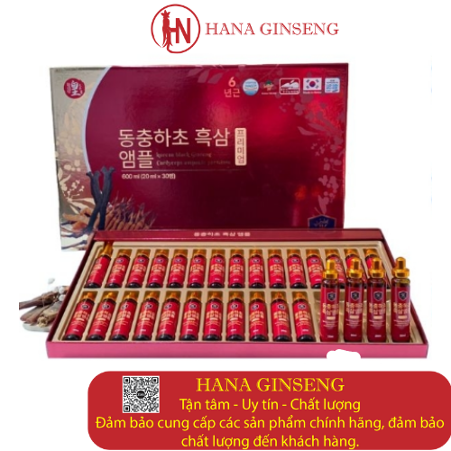 Tinh chất Hắc sâm Đông trùng hạ thảo JK hộp 20ml * 30 ống - Quà tặng thượng hạng