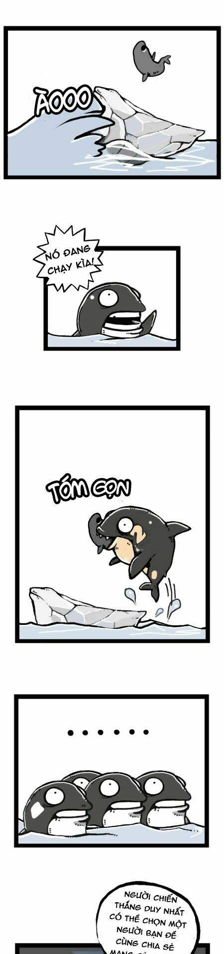 earth, human, and animal chapter 23 7