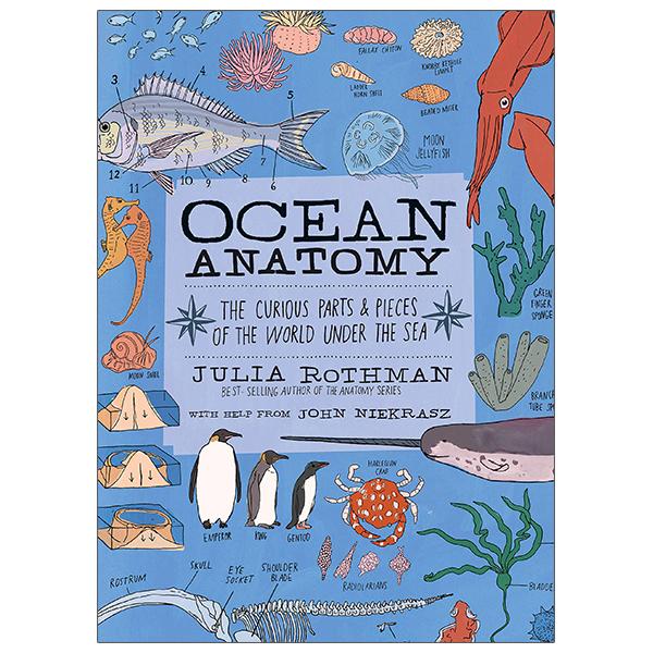 Ocean Anatomy: The Curious Parts &amp; Pieces Of The World Under The Sea