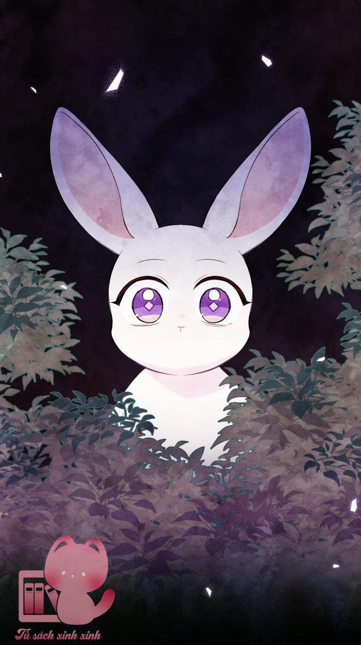 quan hệ cộng sinh giữa báo đen và thỏ trắng chapter 82 12