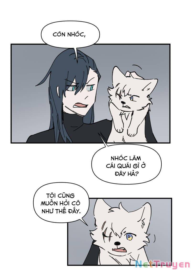 lumine - cội nguồn ánh sáng chapter 157 7