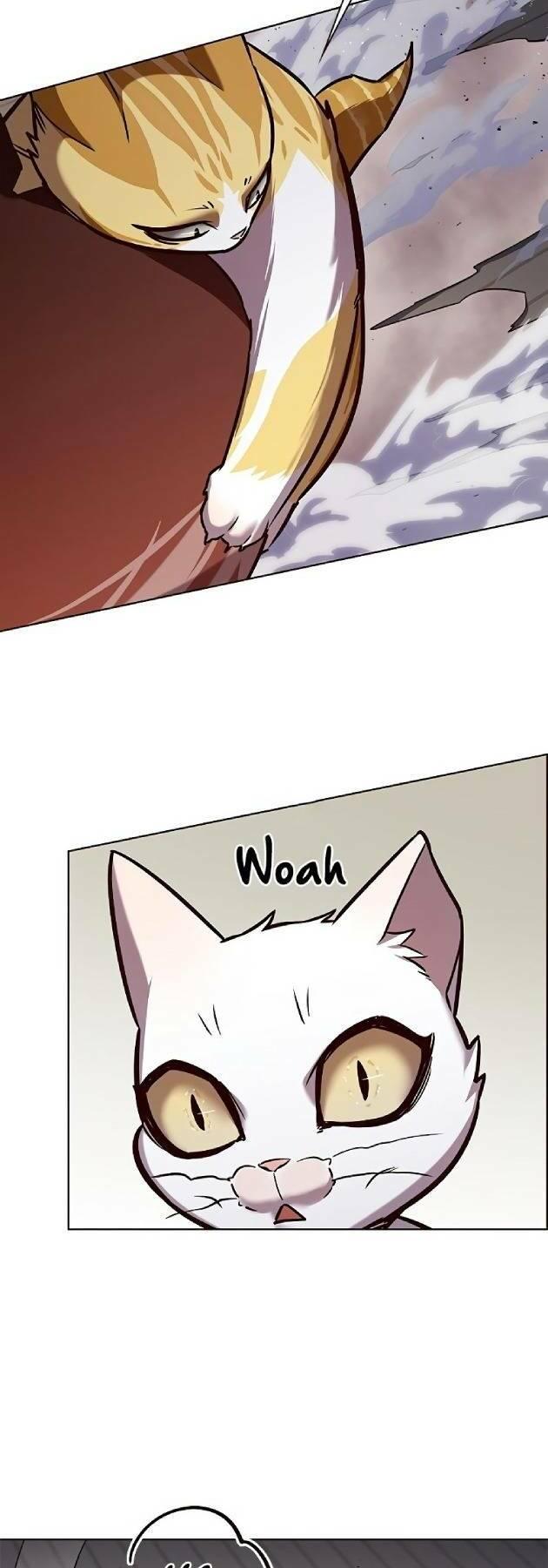 biến thân thành mèo chapter 241 24