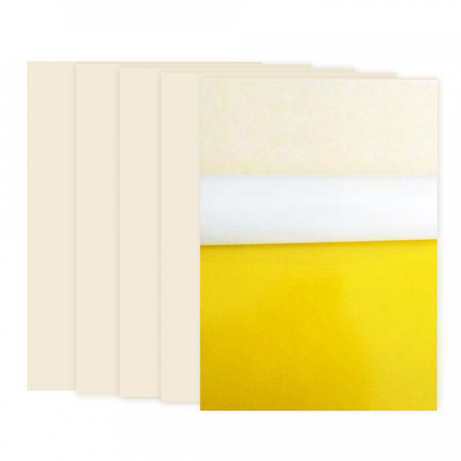 Bộ 5 miếng bẫy màu bắt côn trùng nông nghiệp 25x40