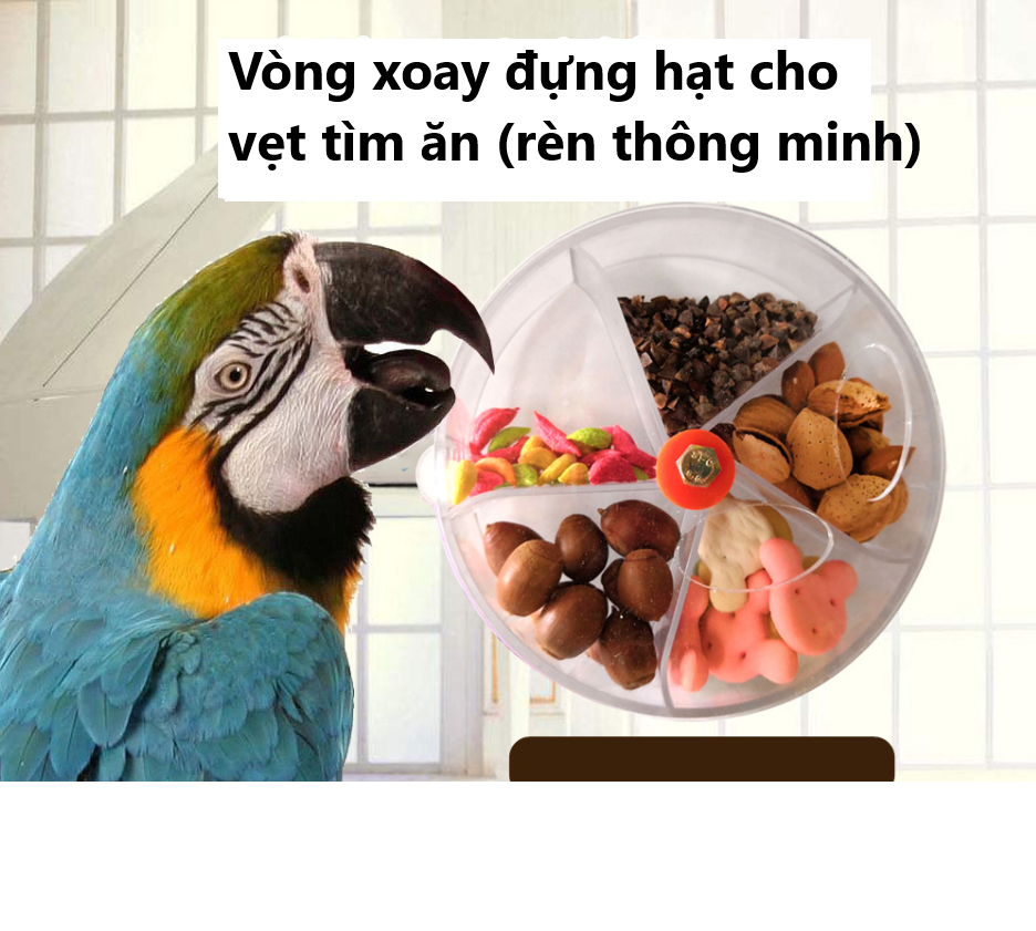 1 VÒNG XOAY ĐỰNG HẠT CHO VẸT TÌM ĂN (RÈN LUYỆN TRÍ THÔNG MINH)