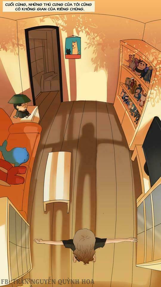 fod star chapter 1 3