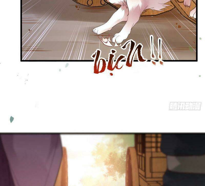 sát thủ vương phi không dễ chọc chapter 31 26