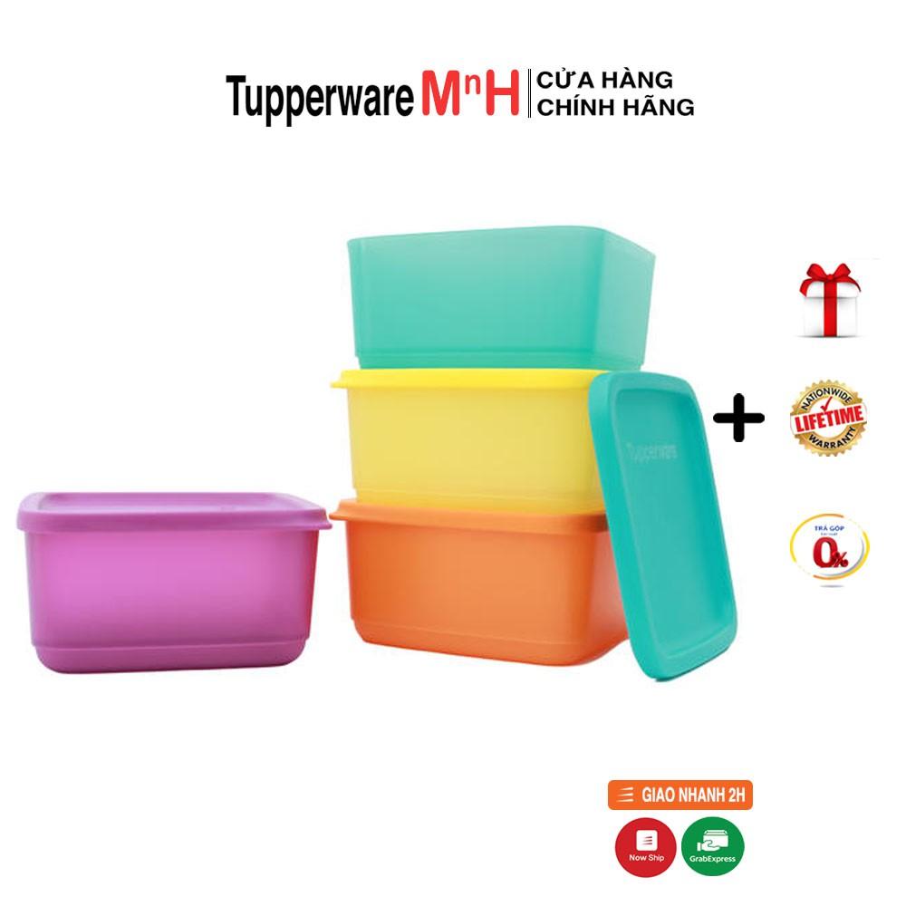 Bộ Hộp Bảo Quản Thực Phẩm Small Summer Fresh Bốn Hộp Tupperware, Hộp Trữ Khô, Nhựa Nguyên Sinh An Toàn