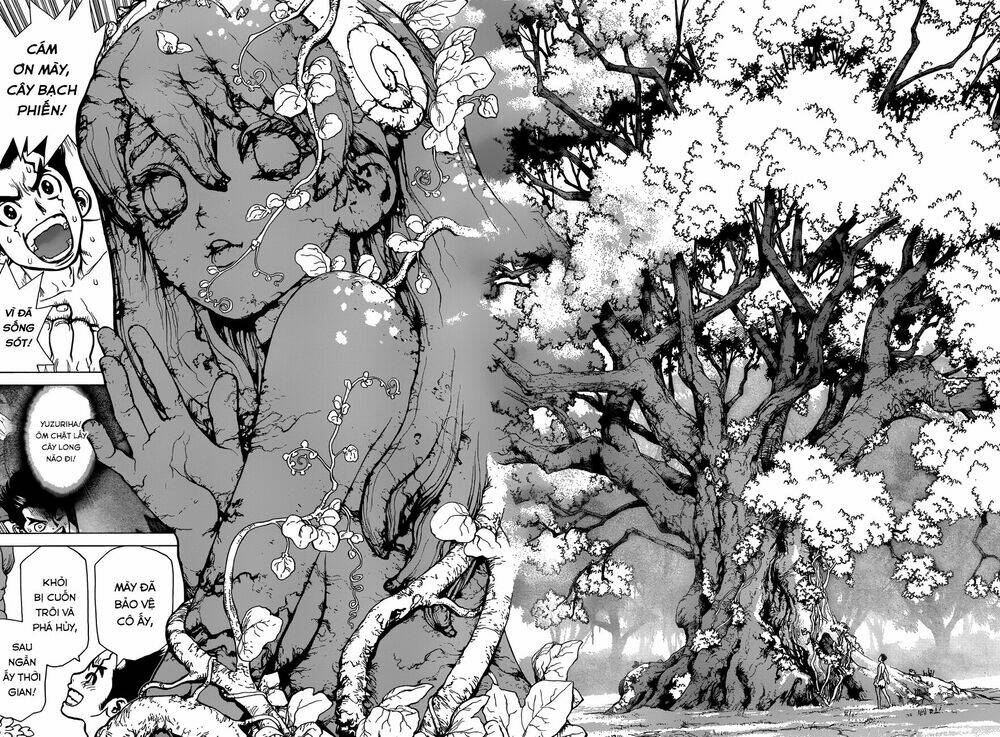 dr.stone - hồi sinh thế giới chapter 1 36