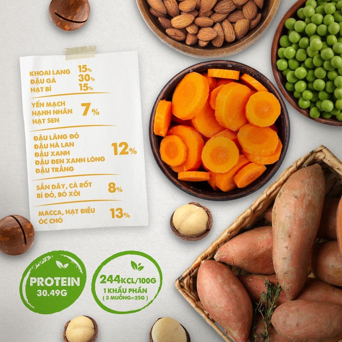 VEGAN PROTEIN - BỘT NGŨ CỐC ĐẬU HẠT RAU CỦ (KHÔNG ĐẬU NÀNH) (420g)