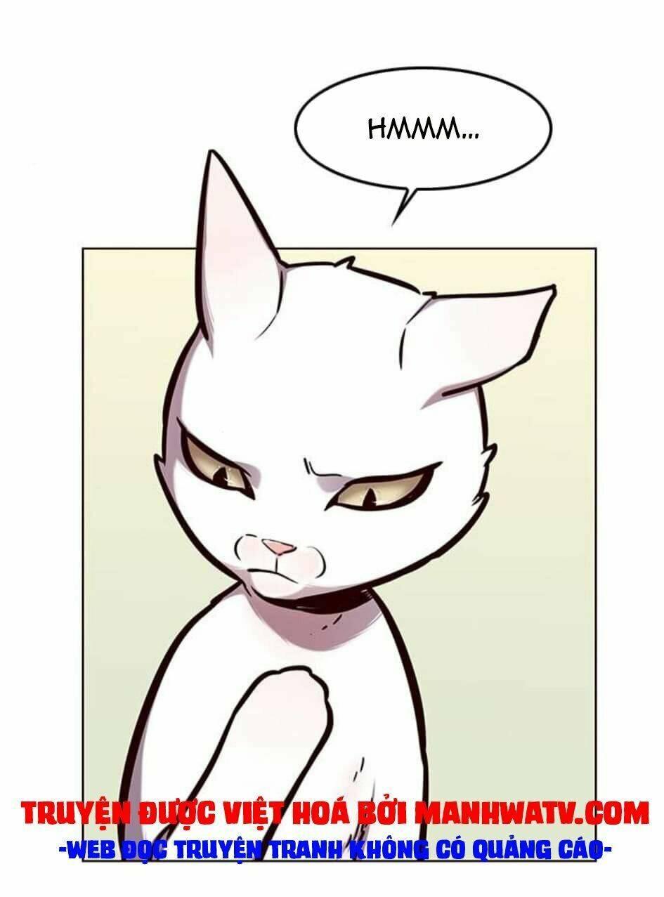 biến thân thành mèo chapter 144 21