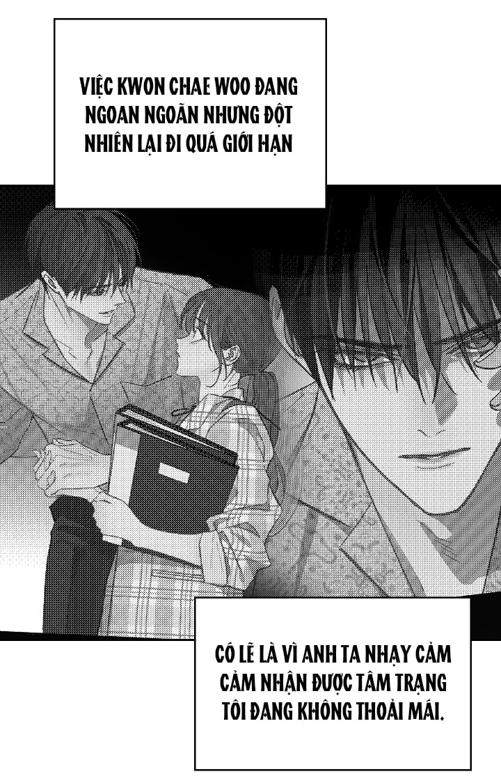 [18+] hoa là mồi nhử chapter 12 50