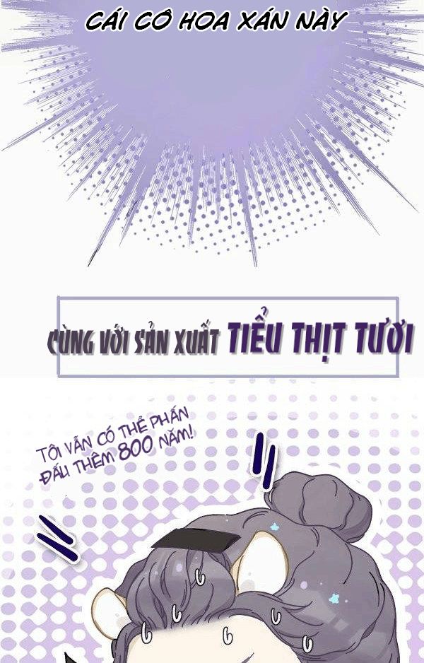 bảo vệ siêu sao của tôi chapter 0 26