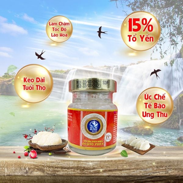 Yến Sào Nguyên Chất Đường Phèn SCNest Special