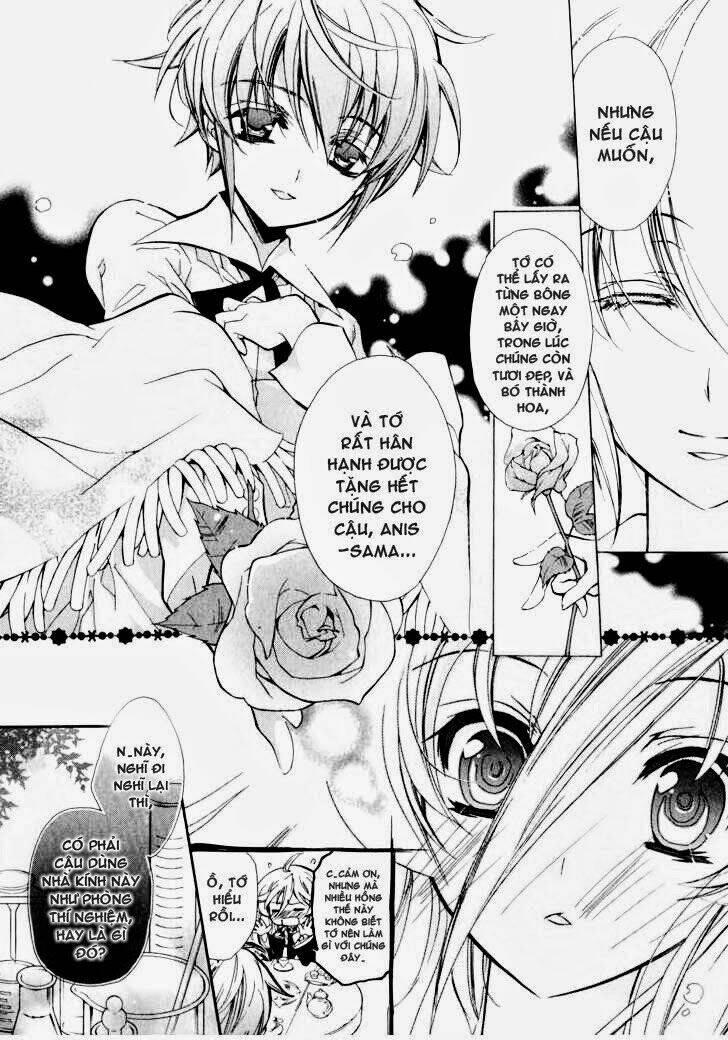 nụ hôn của công chúa tường vi chapter 4 25