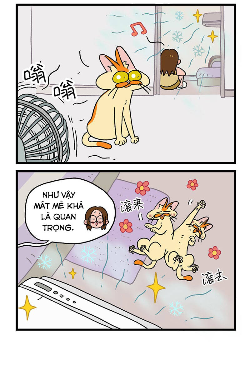 a mãn và mạch trà chapter 28 6