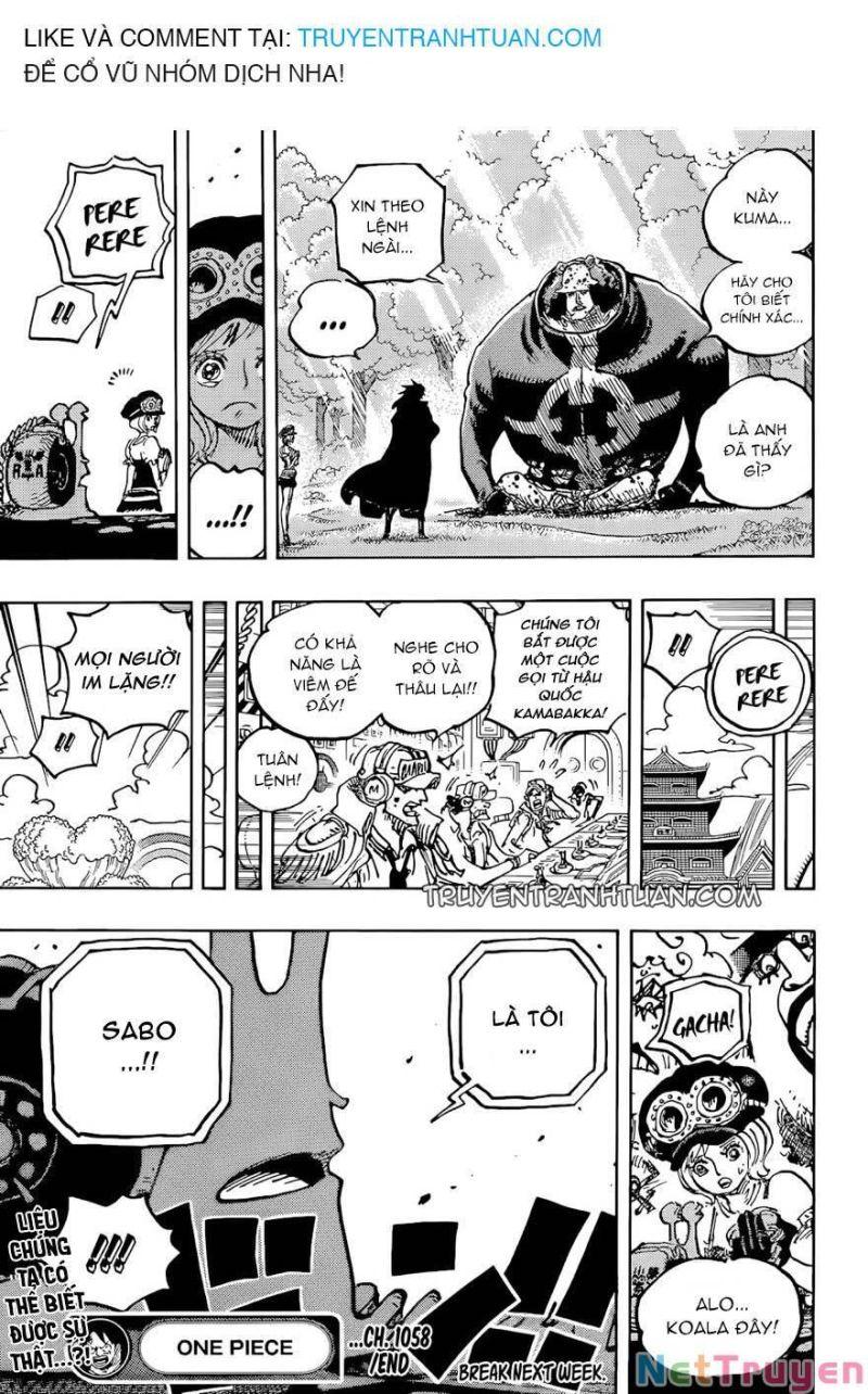 đảo hải tặc - one piece chapter 1058 16