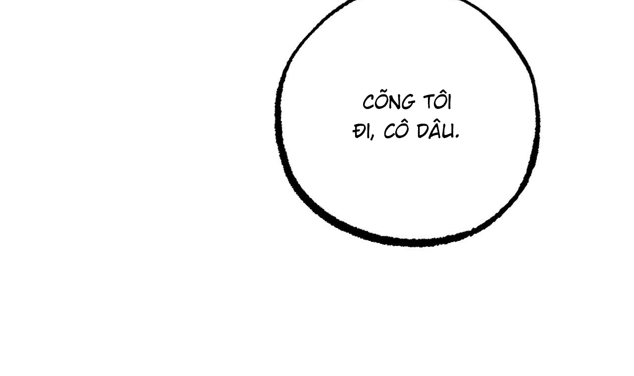 những chú thỏ của hapypy chapter 53 106