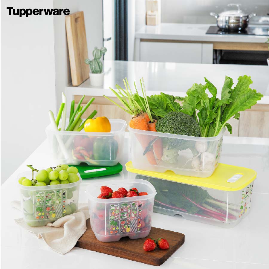 Bộ Hộp Tupperware Trữ Mát Có Nút Hô Hấp Ventsmart Five Star (05 Hộp) - Nữ Hoàng Ngăn Mát
