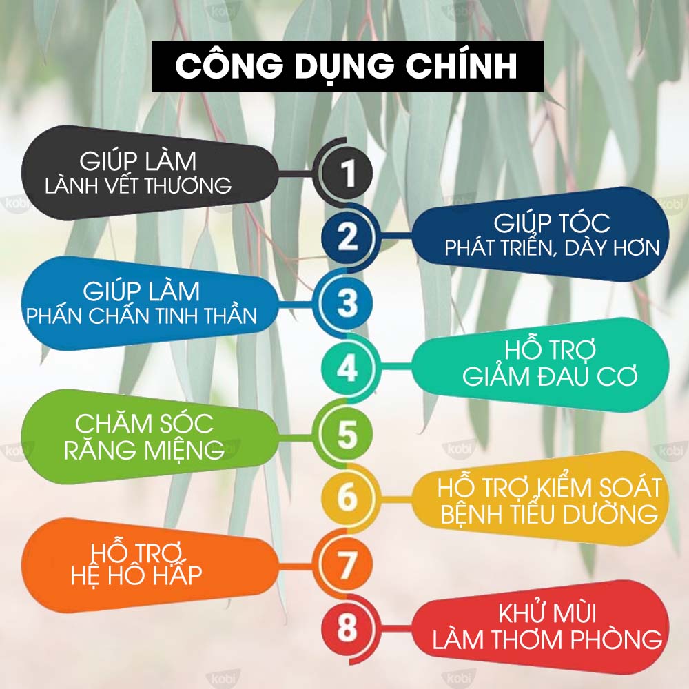 Tinh Dầu Bạch Đàn Chanh Kobi Lemon Eucalyptus Essential Oil Dùng Xông Phòng, Giúp Tăng Cường Hệ Hô Hấp, Giảm Stress, Tập Trung Tinh Thần